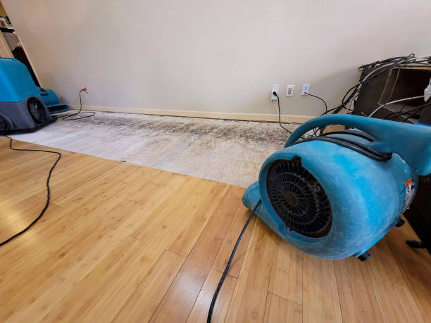 Professional Flood Damage Cleanup technician working in White Earth, MN